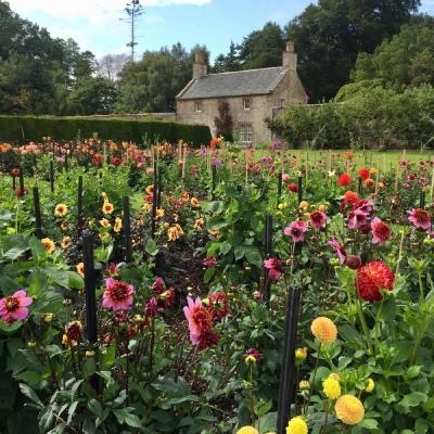 hth会体会官方网页版app下载