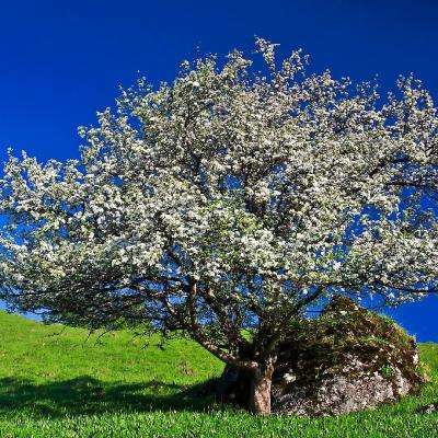 赛博体育手机app下载